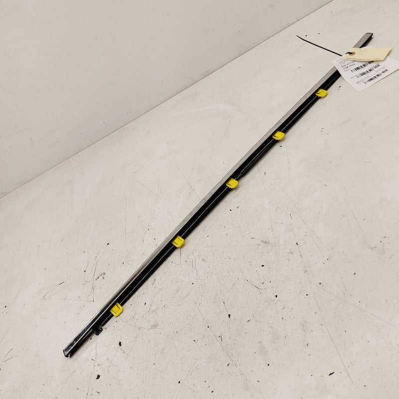 Honda CR-V Door Glass Window Weather Strip Trim Rear Left Driver Back 