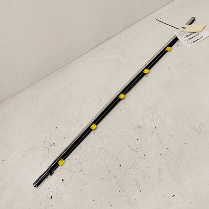 Honda CR-V Door Glass Window Weather Strip Trim Rear Left Driver Back 