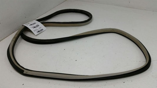 Nissan Altima On Body Door Jamb Seal Gasket Rear Back Right Passenger 2013 OEM