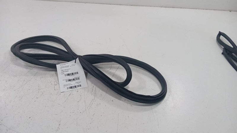 Honda Civic On Body Door Jamb Seal Rear Left Back  2016 2017 2018 2019
