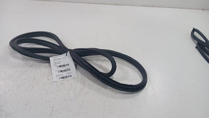 Honda Civic On Body Door Jamb Seal Rear Left Back  2016 2017 2018 2019