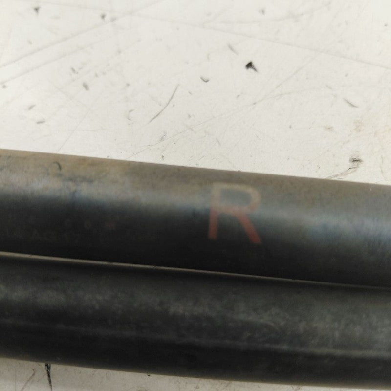 Honda CR-Z Hatchback Hatch Back Trunk Lid Shock Strut Support  2015 20