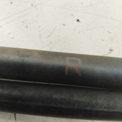 Honda CR-Z Hatchback Hatch Back Trunk Lid Shock Strut Support  2015 20