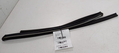 Honda Accord Door Glass Window Seal Rubber Left Rear Back 2013 2014 2015 