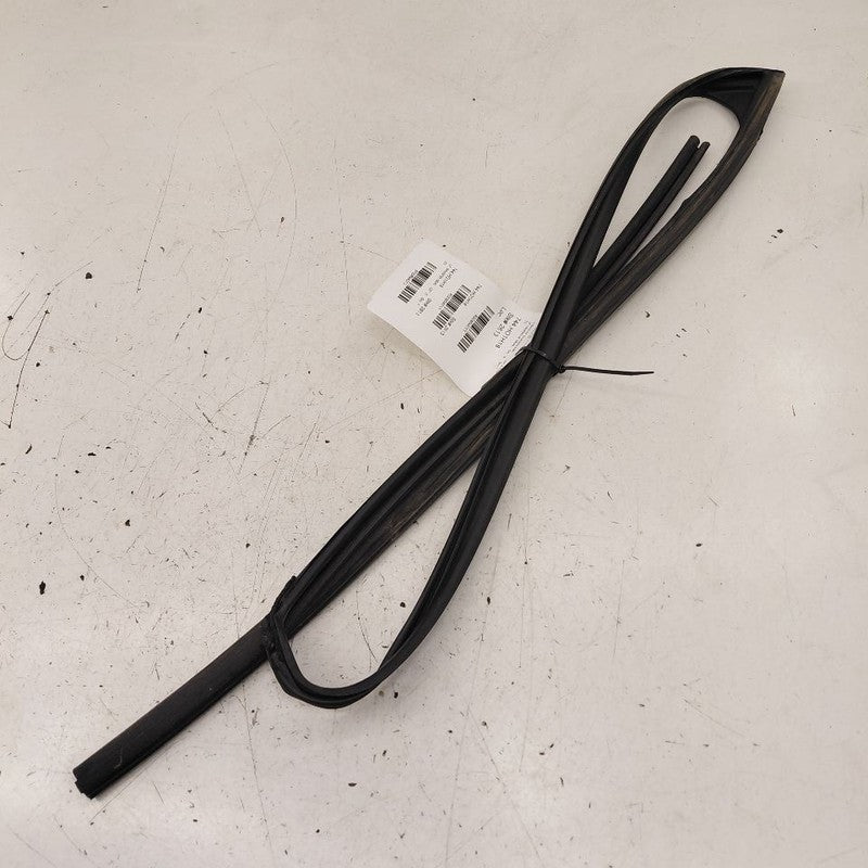 Honda Clarity Door Glass Window Seal Rubber Left Driver Front  2018 20