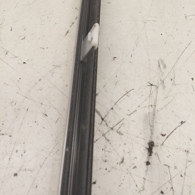 Kia Sorento Door Glass Window Weather Strip Trim Front Left Driver  20