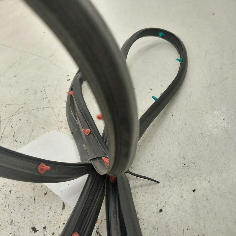 Hyundai Santa Fe On Door Seal Rubber Left Driver Rear Back  2019 2020