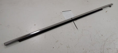 GMC Acadia Door Glass Window Weather Strip Trim Front Right Passenger 