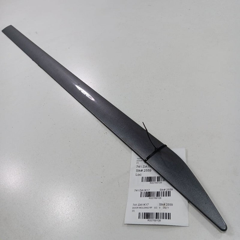 Nissan Altima Door Molding Trim Strip Right Passenger Side Front  2017