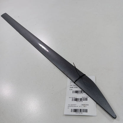 Nissan Altima Door Molding Trim Strip Right Passenger Side Front  2017