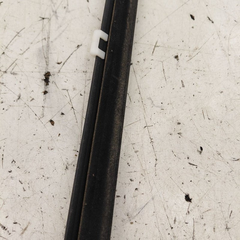 Kia Sorento Door Glass Window Weather Strip Trim Rear Right Passenger 