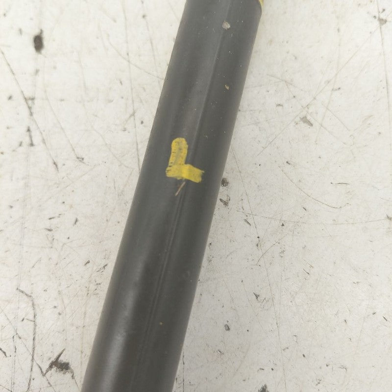 Lexus IS350 Hood Strut Shock Support  2020 2019 2018