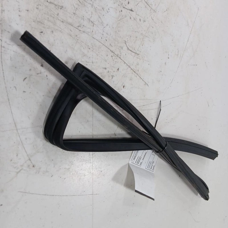 Nissan LEAF Door Glass Window Seal Rubber Left Rear Back  2013 2014 20
