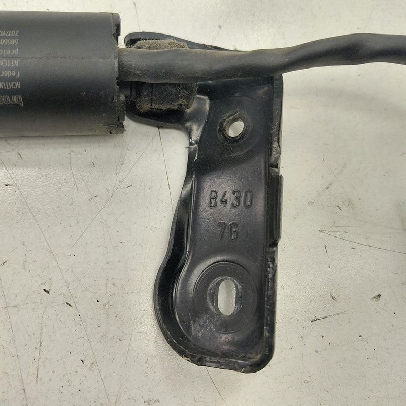 Alfa Romeo Stelvio Driver Left Hatch Back Trunk Lid Shock Strut Suppor
