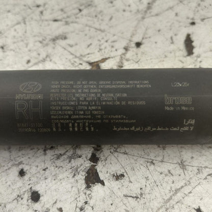 Hyundai Santa Fe Passenger Right Hatchback Trunk Lid Electric Shock St