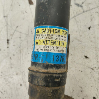 Passenger Right Front Strut AWD Without Sport Package Fits 14-20 Lexus