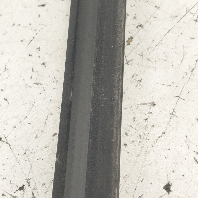 Cadillac CT6 Door Glass Window Weather Strip Trim Rear Left Driver Bac