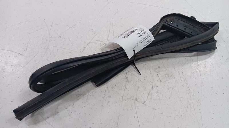 Kia Forte On Door Seal Rubber Left Rear Back  2014 2015 2016 OEM