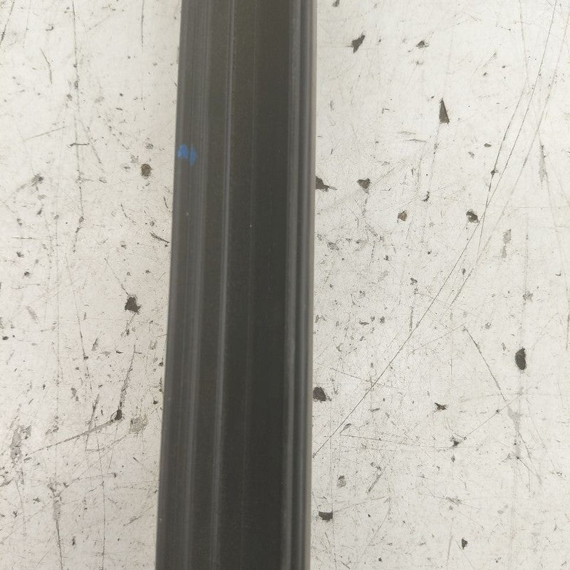 Ford Edge Door Glass Window Weather Strip Trim Rear Left Driver Back  
