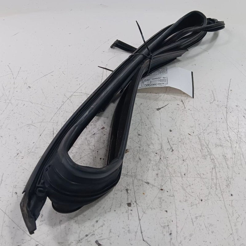 Fiat 500 Door Glass Window Seal Rubber Left Rear Back 2018 OEM