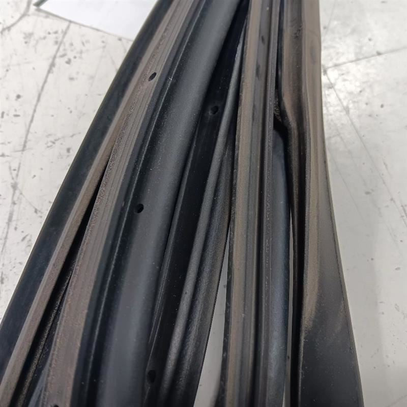 2017 Toyota Camry On Door Seal Rubber Right Passenger Rear Back