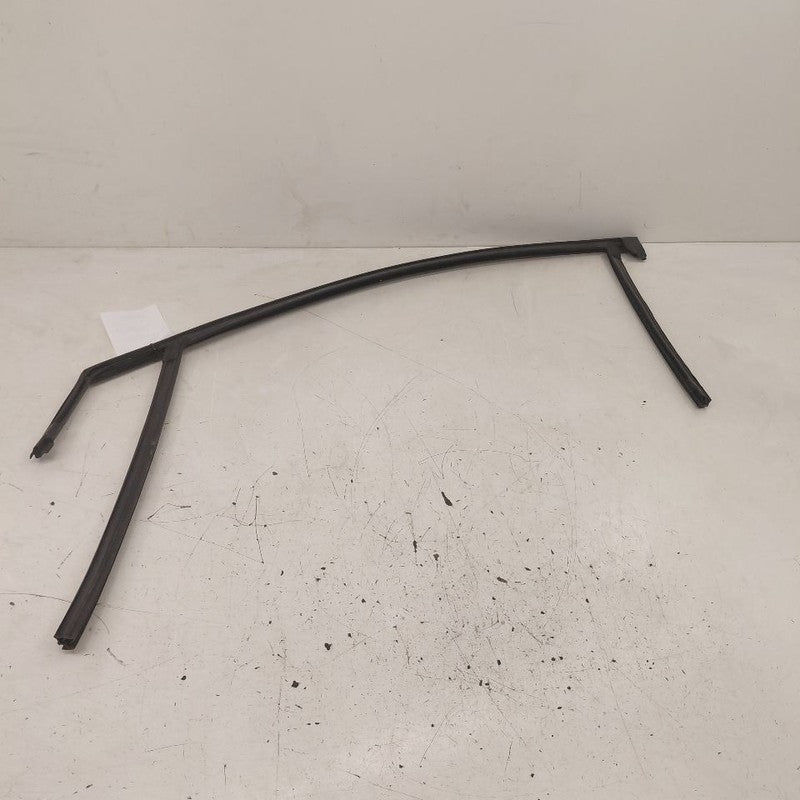 Ford Edge Door Glass Window Seal Rubber Right Passenger Front  2019 20