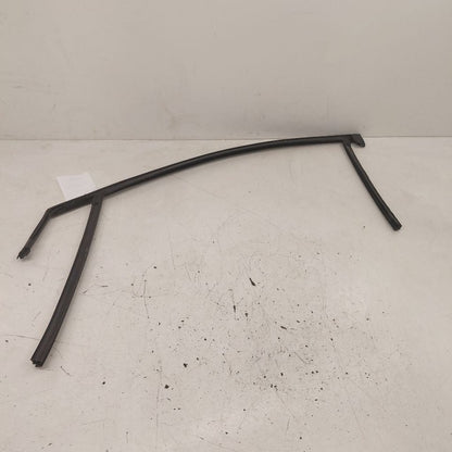 Ford Edge Door Glass Window Seal Rubber Right Passenger Front  2019 20