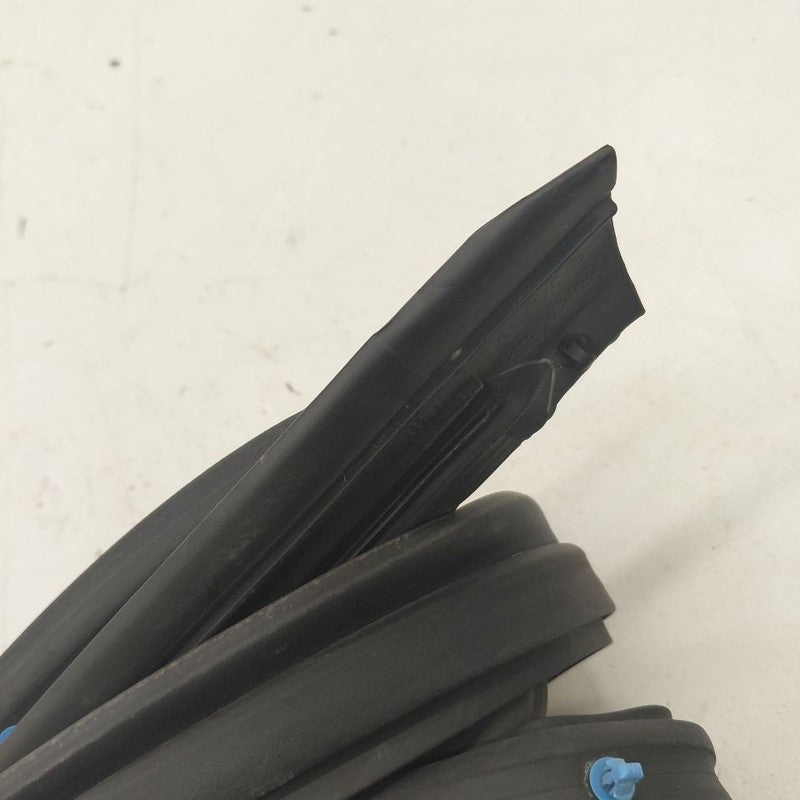Chevy Trax On Door Seal Rubber Right Passenger Rear Back  2022 2021