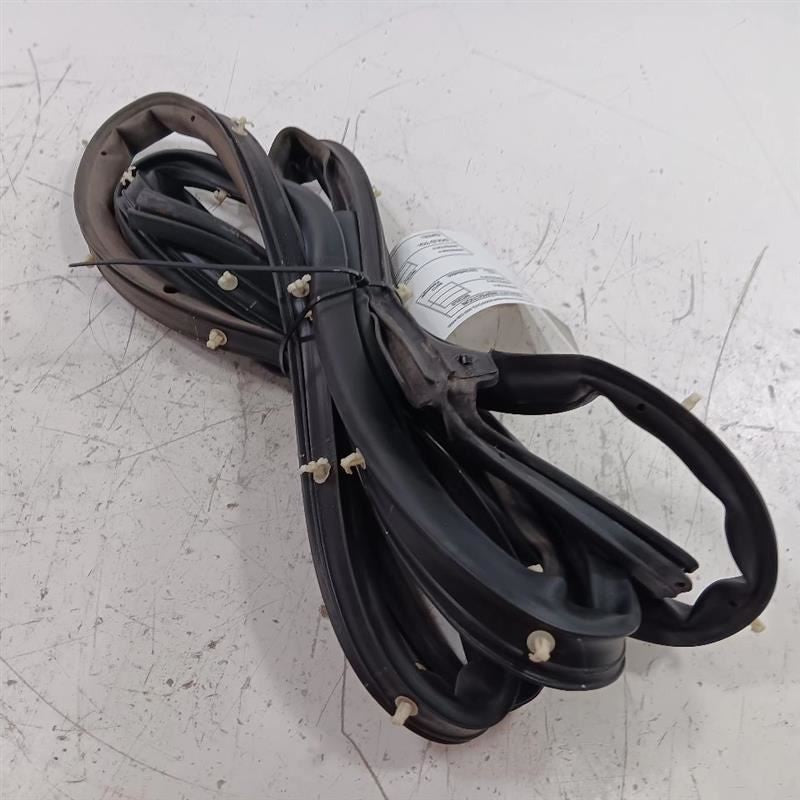 Ford Ecosport On Door Seal Rubber Left Rear Back  2018 2019 2020 2021 