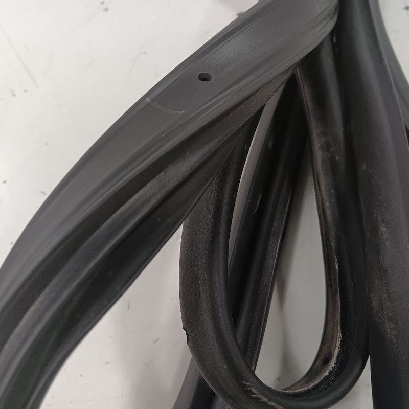 Ford Ecosport On Door Seal Rubber Right Passenger Front 2022 2021 2020