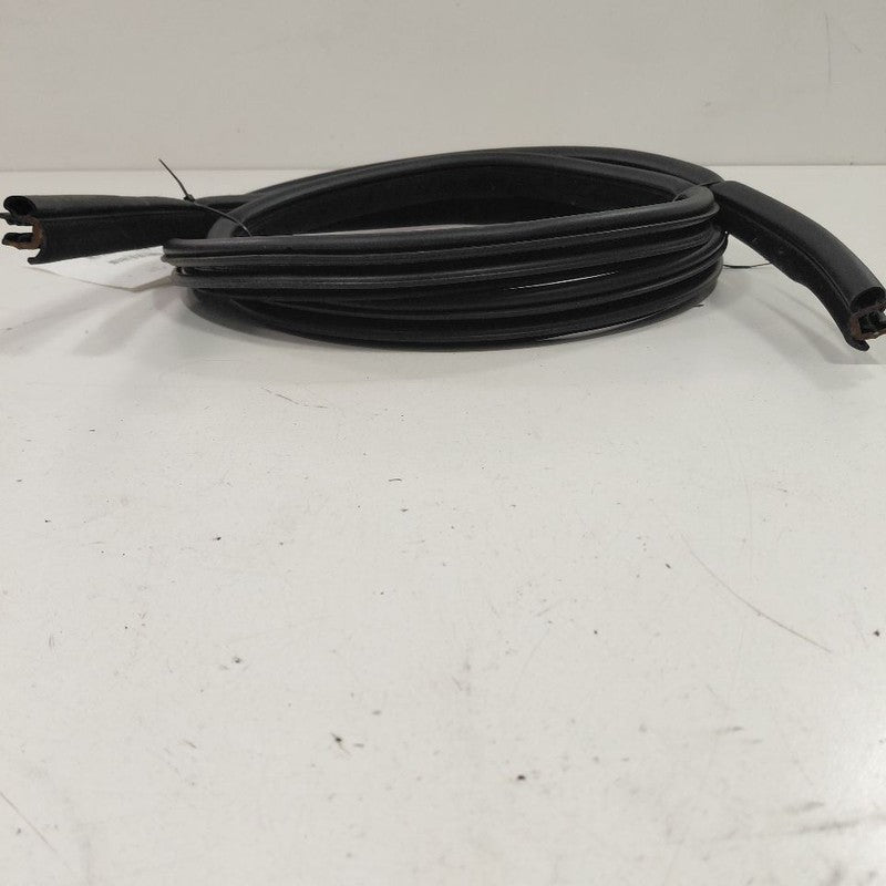 Chrysler 300 On Body Door Jamb Seal Rear Left Driver Back  2017 2018 2