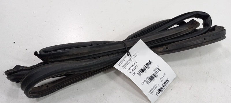Cadillac CTS On Door Seal Rubber Right Passenger Rear Back 2010 2011 2