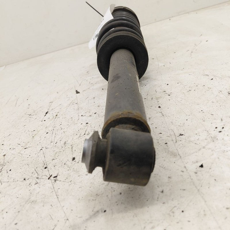Strut Rear Fits 16-20 Cadillac CT6