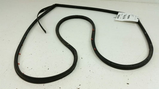2010 Hyundai Elantra On Door Seal Rubber Gasket Right Passenger Rear Back 2009