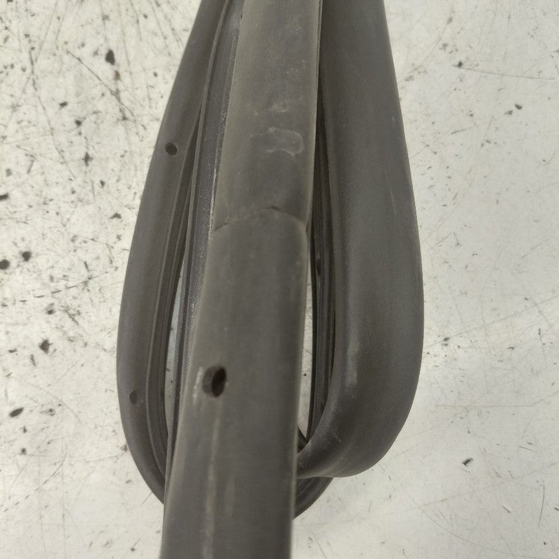 Ford Edge On Door Seal Rubber Right Passenger Front  2018 2017 2016 20