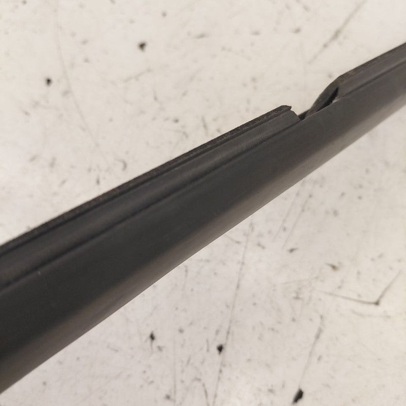 Chevy Volt Door Glass Window Weather Strip Trim Rear Left Driver Back 