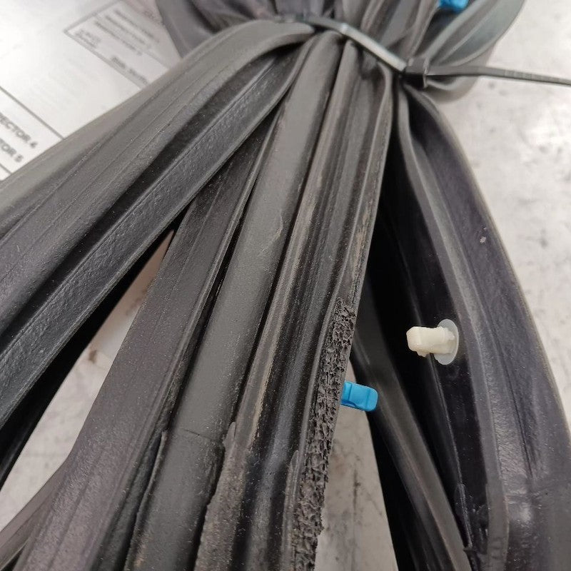 Nissan Kicks On Door Seal Rubber Right Passenger Front  2021 2022 2023