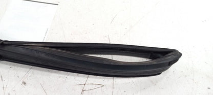 Hyundai Sonata Door Glass Window Seal Rubber Right Passenger Rear Back