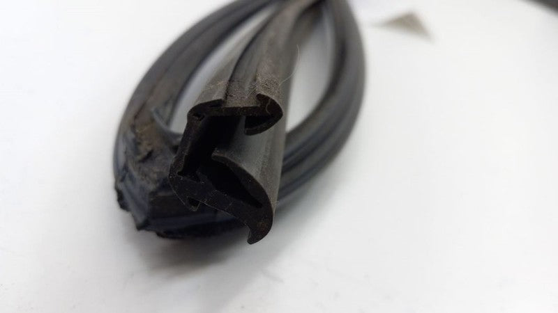 Honda Civic Door Glass Window Seal Rubber Left Rear Back 2006 2007 2008 2009 10