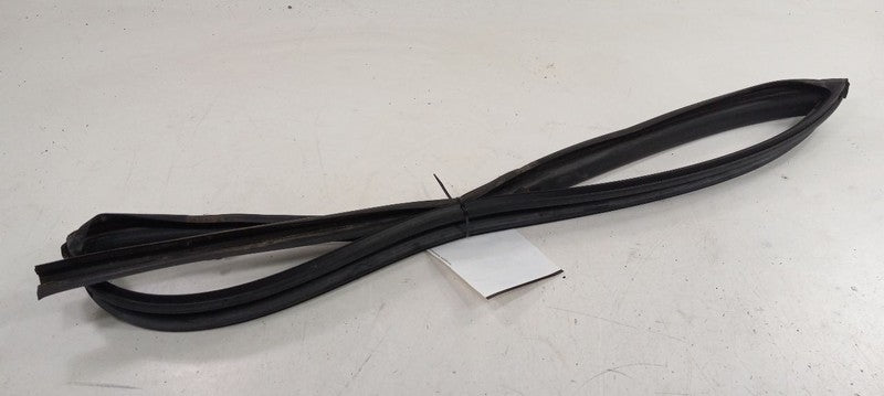 Saturn Vue Door Glass Window Seal Rubber Right Passenger Front 2008 20