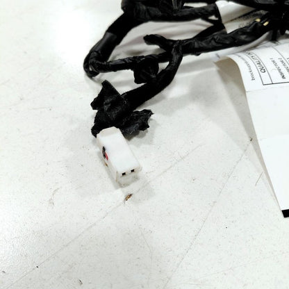 Hyundai Sonata Door Harness Wire Wiring Left Driver Rear  2017 2016 20