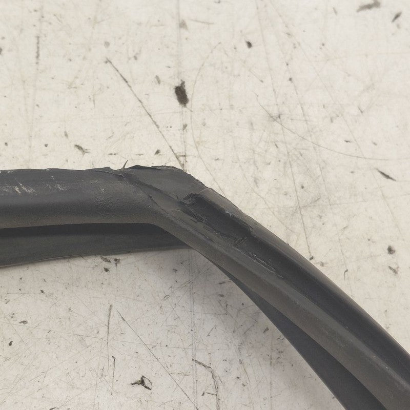 Hyundai Kona Door Glass Window Seal Rubber Right Passenger Front  2021