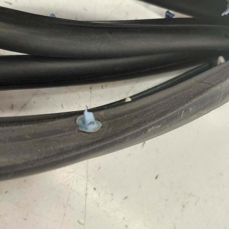 Chevy Volt On Door Seal Rubber Left Driver Rear Back  2016 2017 2018 2