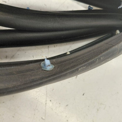 Chevy Volt On Door Seal Rubber Left Driver Rear Back  2016 2017 2018 2