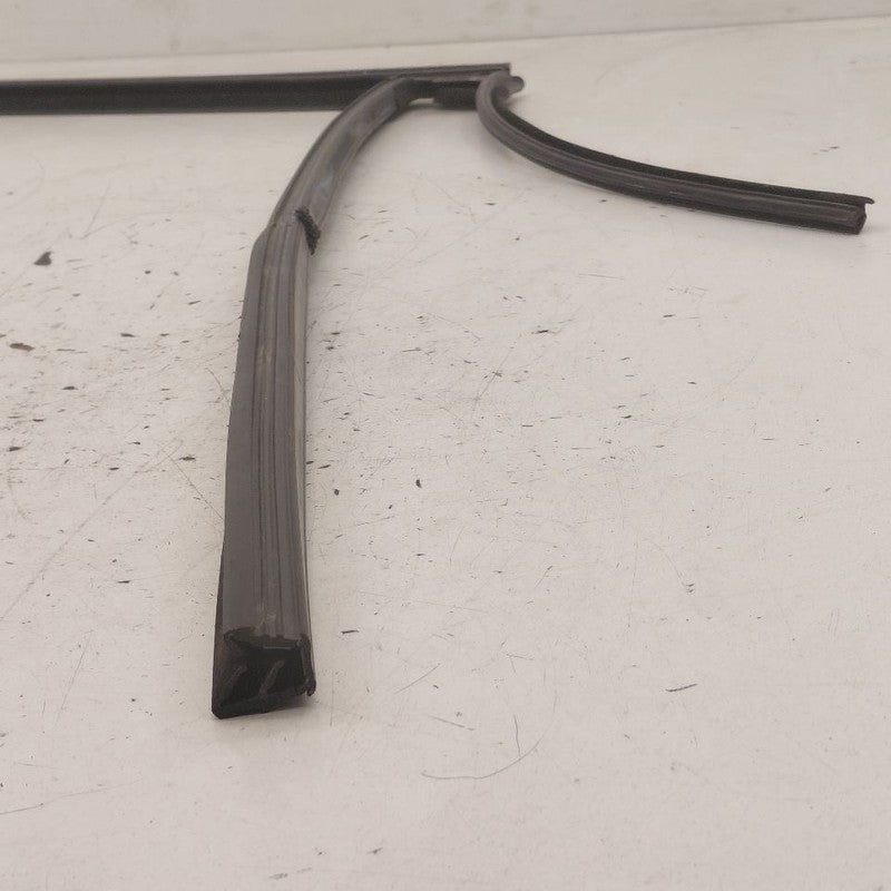 Ford Edge Door Glass Window Seal Rubber Right Passenger Rear Back 2019