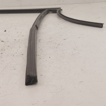 Ford Edge Door Glass Window Seal Rubber Right Passenger Rear Back 2019