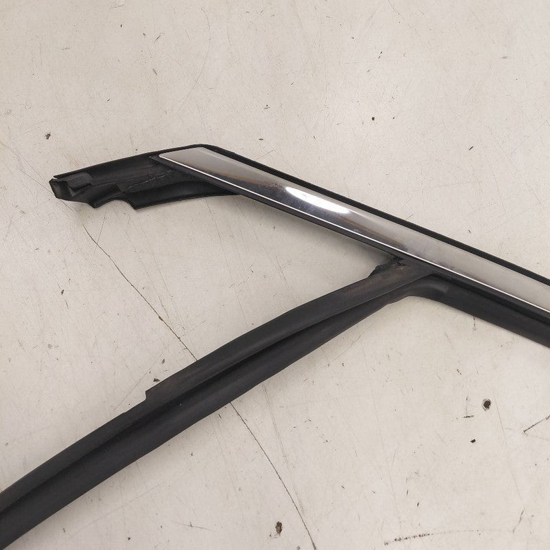 Buick Encore GX Door Glass Window Seal Rubber Left Driver Front  2022 