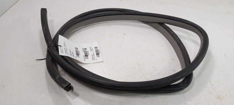 Toyota Camry On Body Door Jamb Seal Rear Left Back 2007 2008 2009 OEM