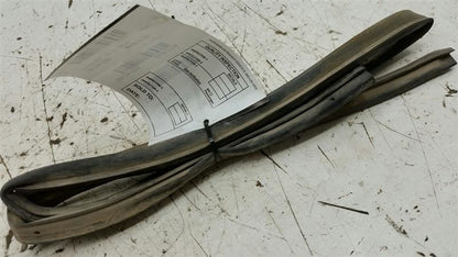 Nissan Sentra On Door Seal Rubber Gasket Left Rear Back 2004 2005 2006