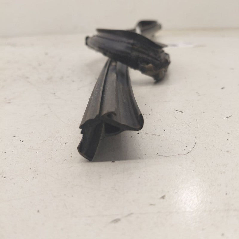 Honda CR-V Door Glass Window Seal Rubber Right Passenger Rear Back  20